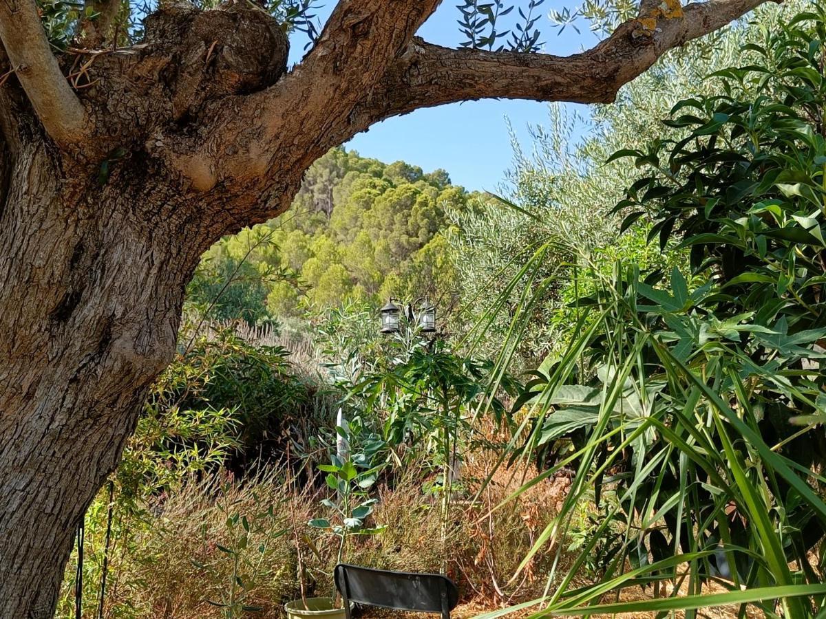 Casa Serenity Alora Bagian luar foto